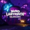 Mind Labyrinth VR Dreams Box Art Front